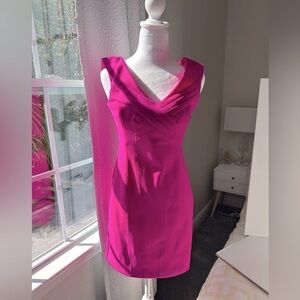 Sexy Laundry by Shelly Segal Hot Pink Sheath Dress